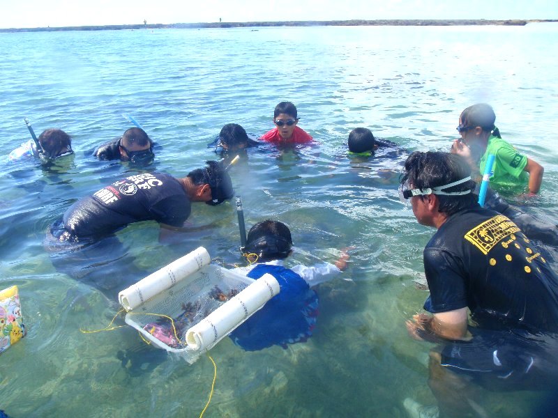 It is the scene of planted coral by children.