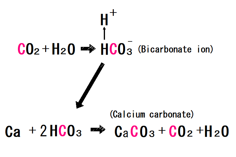 Change from carbon dioxide to calcium carbonate